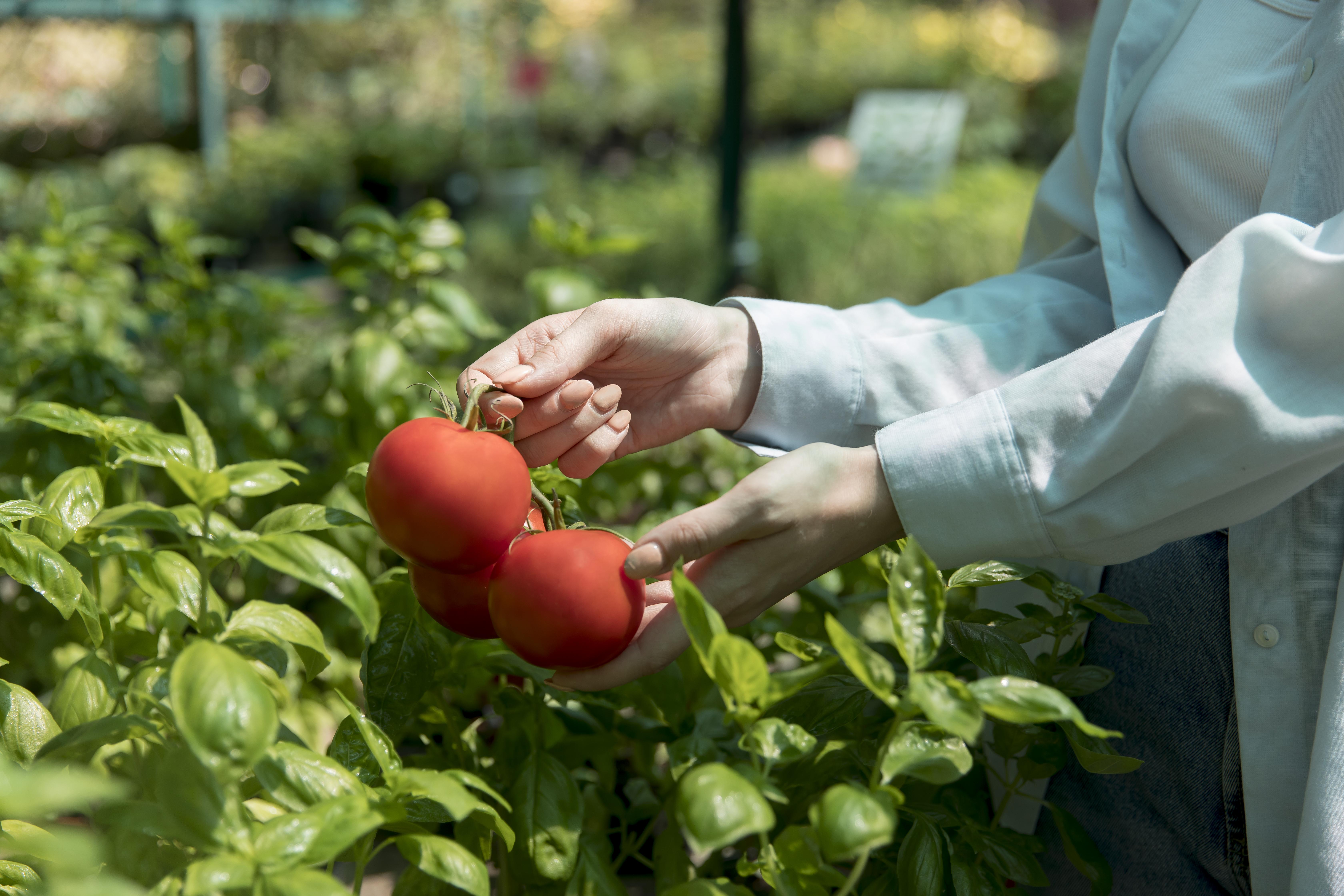 woman working in her sustainable greenhouse